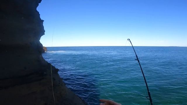 Shore Jigging For Pelagic Fish (Ticking Off Bucket List Species)