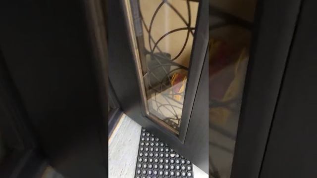 Наружная г@внодверь Straj / Страж | Реальный отзыв покупателя смотреть онлайн