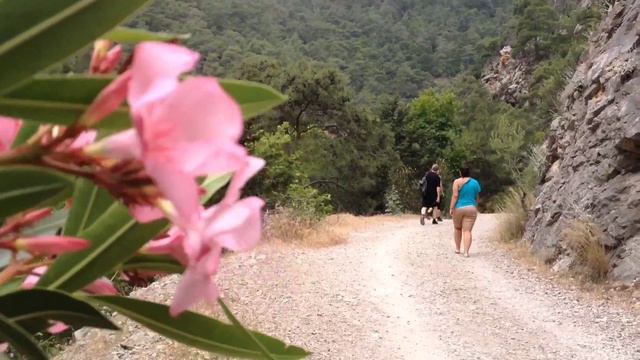 Турция 2014 смотреть онлайн