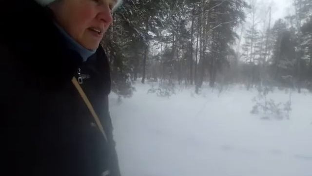 Простые упражнения для нервной системы. "Марафон здоровья и разговорный марафон " день 122 смотреть онлайн