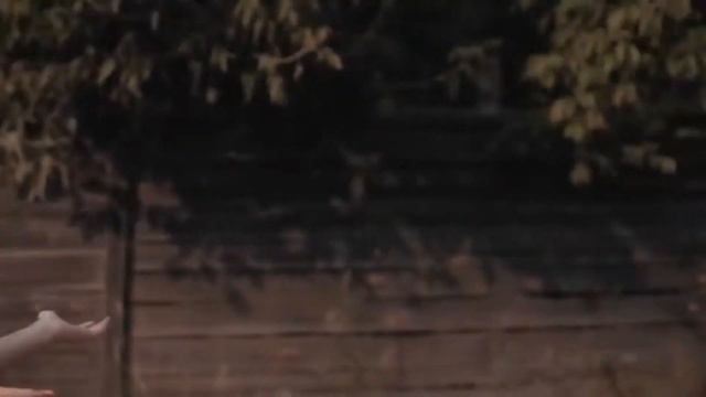 цыгане украли коня смотреть онлайн