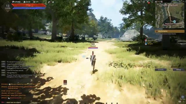Black Desert Online смотреть онлайн
