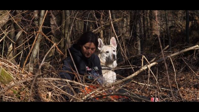 DJI Mini 2 And Panasonic Lumix G9 Footage Processed In Imovie