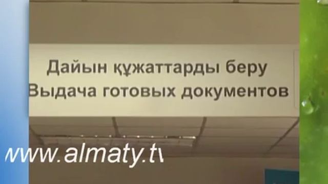 Центр обслуживания населения смотреть онлайн