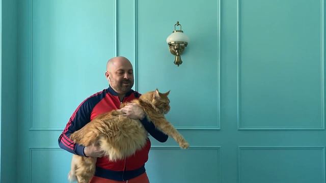 #сидимдома - Биртман смотреть онлайн