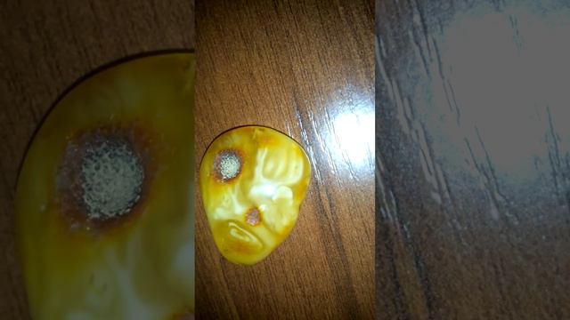 Знамение Аллаха смотреть онлайн