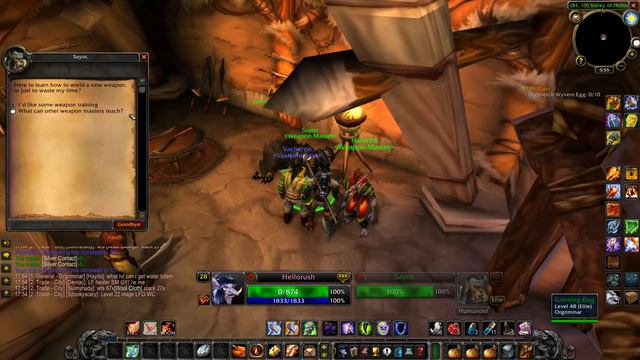 WoW Classic. One-shaMAN Army (RUS)