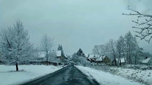 Водительские права в Чехии смотреть онлайн