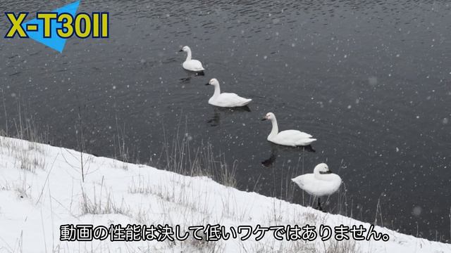 【FUJIFILM】X-T30Ⅱはイイぞ！！ смотреть онлайн