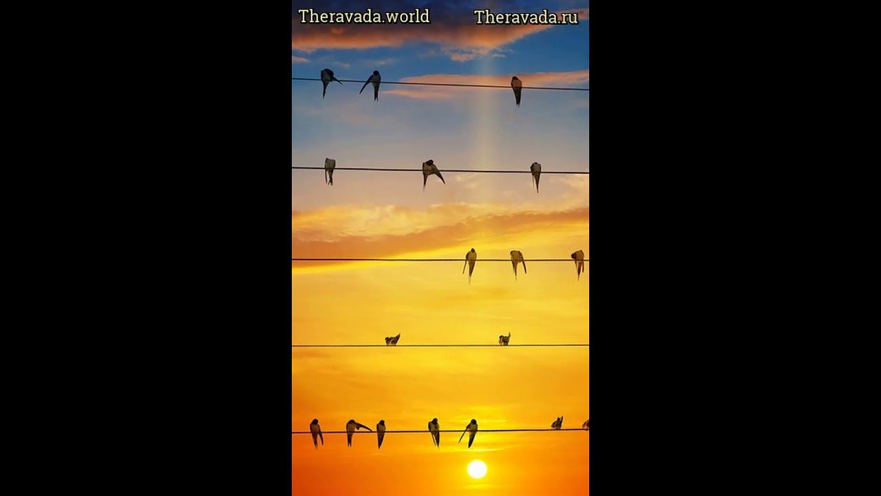 как работает Карма? (Камма) - Бхиккху Бодхи смотреть онлайн