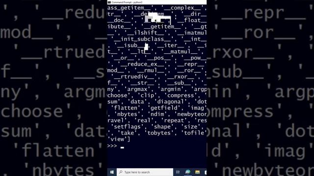 Python Numpy info(obj) to get an Object Attributes details смотреть онлайн