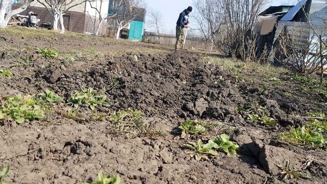 Чудо лопата для огорода!! Копаем землю на даче. смотреть онлайн