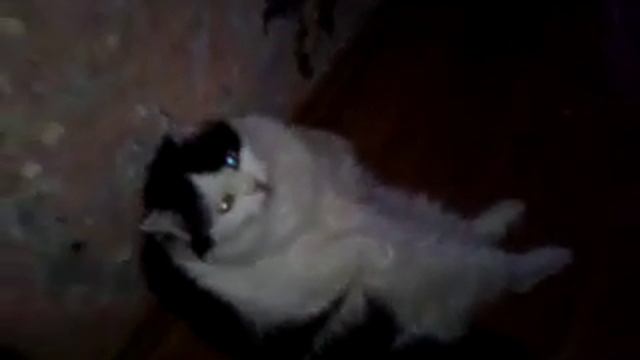 майкун сумской смотреть онлайн