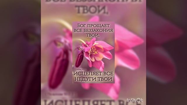 Он прощает все беззакония твои, исцеляет все недуги твои;Псалтирь 102:3 смотреть онлайн