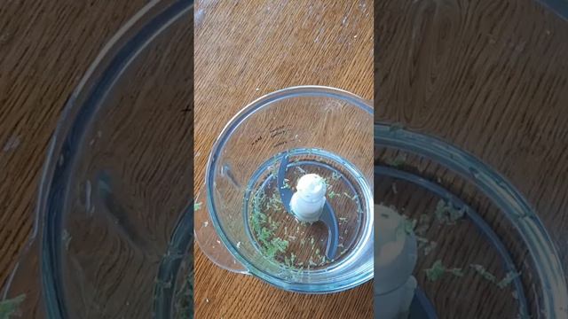 Соус из авокадо. Великолепная замена майонезу