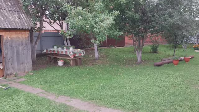 Жизнь в деревне без прикрас/Дела выходного дня/Я их встретила/ смотреть онлайн