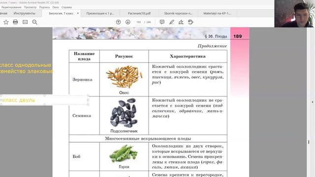 Учим плоды и соцветия. смотреть онлайн