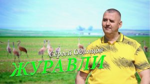 Сергей Одинцов - Журавли
