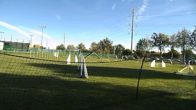 Epic Journey | AKC Agility Open STD | 11.16.14 смотреть онлайн