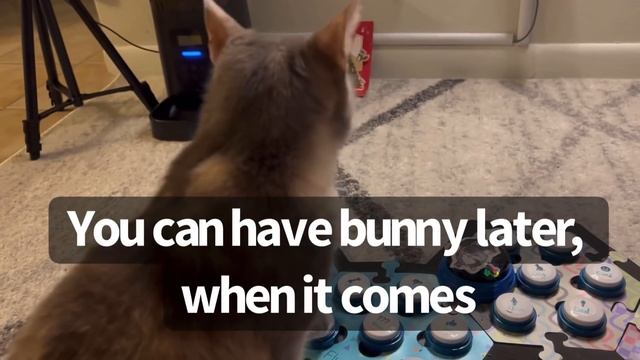 Let Me Talk To The Manager | BilliSpeaks смотреть онлайн