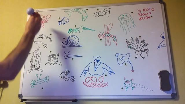 ЗНАТОК: У кого какая жопа? смотреть онлайн