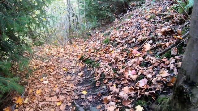 Fahrvideo 4K Audi 100 Typ 44 5Zyl. Ausfahrt Harz - Torfhaus Schulenberg Okerstausee Okertalsperre смотреть онлайн