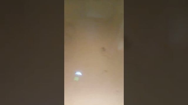 Обзор индикатора - тестера переменного тока фирмы "habotest" с сайта "aliexpress" смотреть онлайн