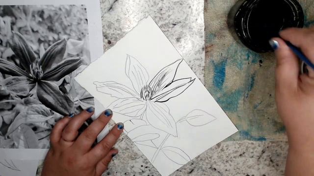 Clematis and Sumi ink смотреть онлайн