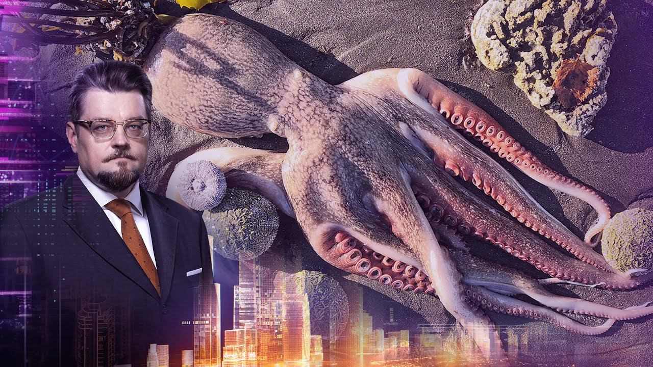 Добров в эфире. Выпуск от 04.10.2020 смотреть онлайн