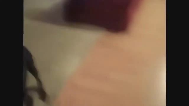 Собака собирается на дачу / Доберман собирается / Я РЖАЛ ПОЛ ЧАСА !! Хохма, прикол, Озвучка смотреть онлайн