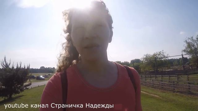 Интересный зоопарк Ч2 смотреть онлайн