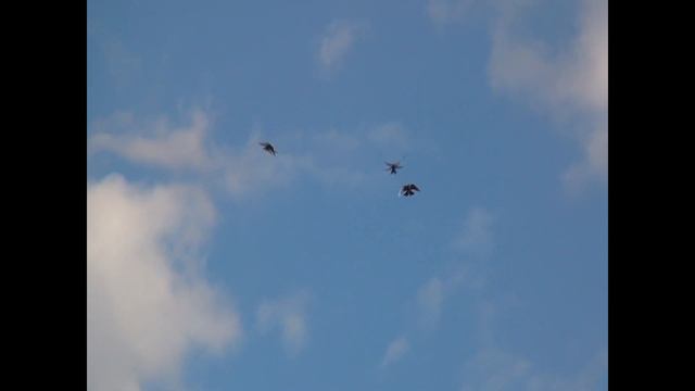 26 сентяьря пос новоэкономическое все дома смотреть онлайн