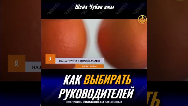 КАК ВЫБИРАТЬ РУКОВОДИТЕЛЕЙ. ШЕЙХ ЧУБАК АЖЫ ЖАЛИЛОВ смотреть онлайн
