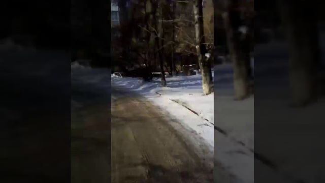 Прогулка с собакой февральский отепель смотреть онлайн