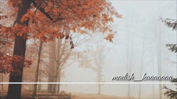 Асхаб Вахарагов и Амалия - д1абели вайшинна безам (New 2017)