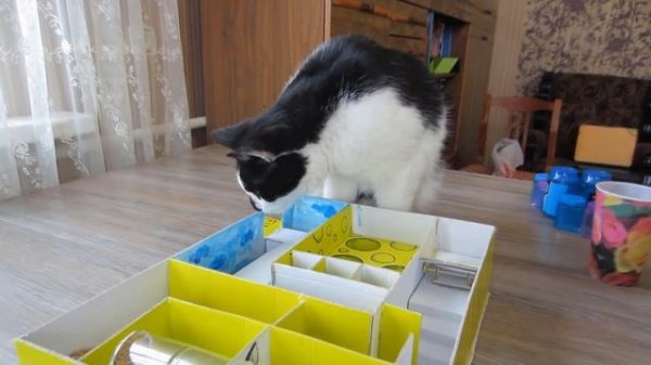 ЛАБИРИНТ для МЫШКИ СВОИМИ РУКАМИ! Как сделать ЛАБИРИНТ?