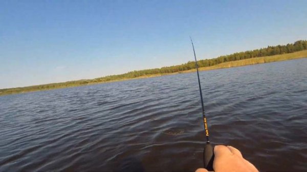 Тестируем Спиннинг FARIO Trout Area