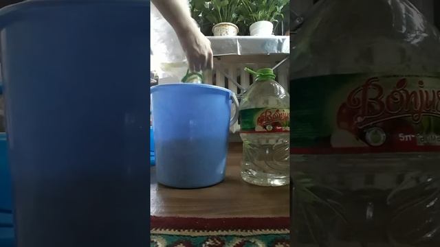 Жылқының қиын гүлдерге қалай қолданамыз смотреть онлайн