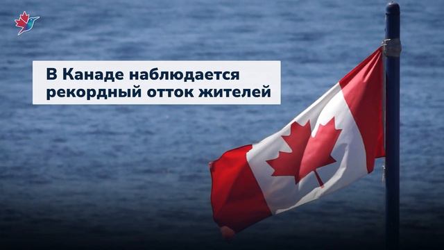 Новости Канады: Рекордное количество жителей покинуло Канаду. Почему? смотреть онлайн