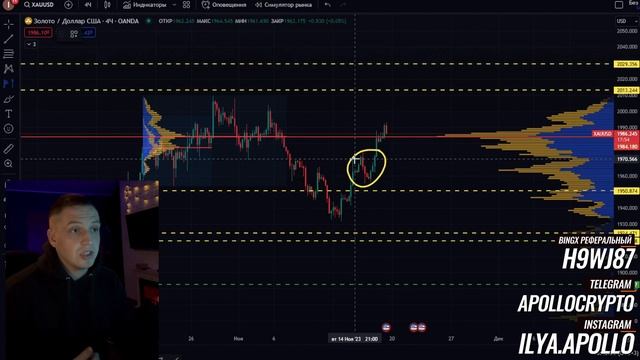 GOLD Недельный обзор 17.11.2023 смотреть онлайн