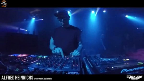 AFFENKÄFIG / AFFE IST KÖNIG / ALFRED HEINRICHS