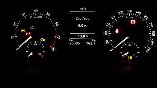 Fabia Maxidot 2010
