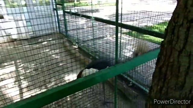 Rostov-on-Don walk with KODAK AZ252 смотреть онлайн