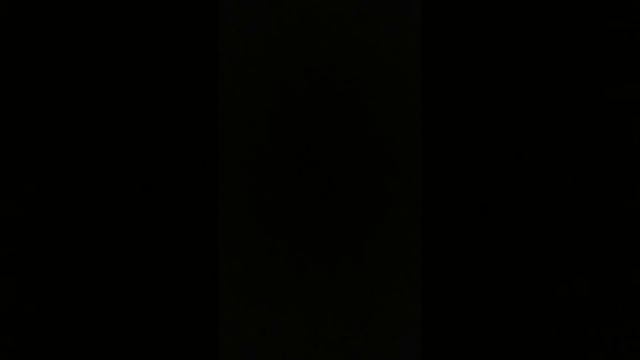 Sonatina C-dur, Akordeon Weltmeister S4 смотреть онлайн