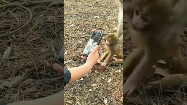 настырный какой смотреть онлайн