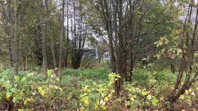 Видео Льялово 2879 смотреть онлайн