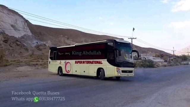 Top 5 Most Beautiful Buses of Pakistan | Daewoo | Yutong | Volvo | Hyundai | @pak street food смотреть онлайн