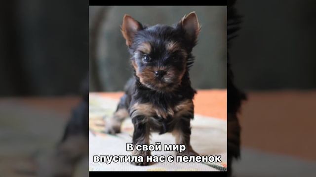 2 октября 2021 г. смотреть онлайн