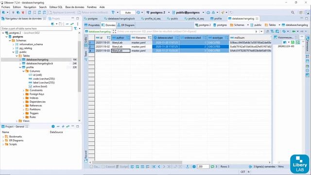 [Liquibase CLI] La pratique #3 : Répartition des commandes et reset de la base смотреть онлайн