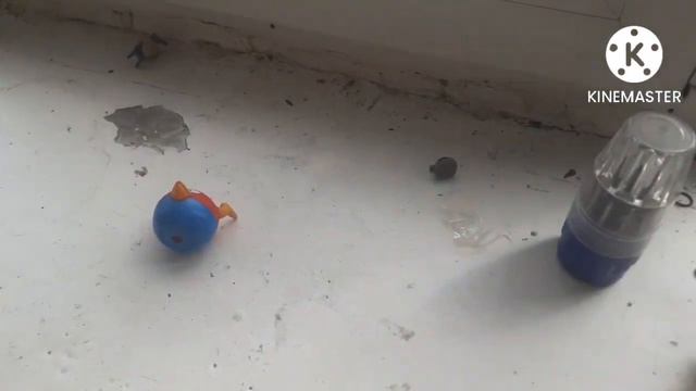Angry Birds In Real Life 2! смотреть онлайн